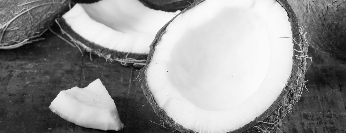A Guide to Coconut Oil Skin Benefits