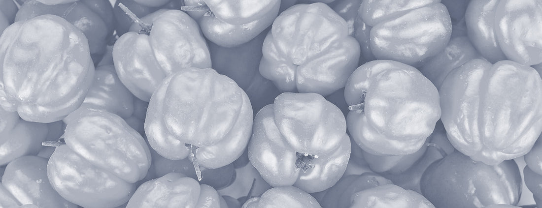 Antioxidants in Skin Care