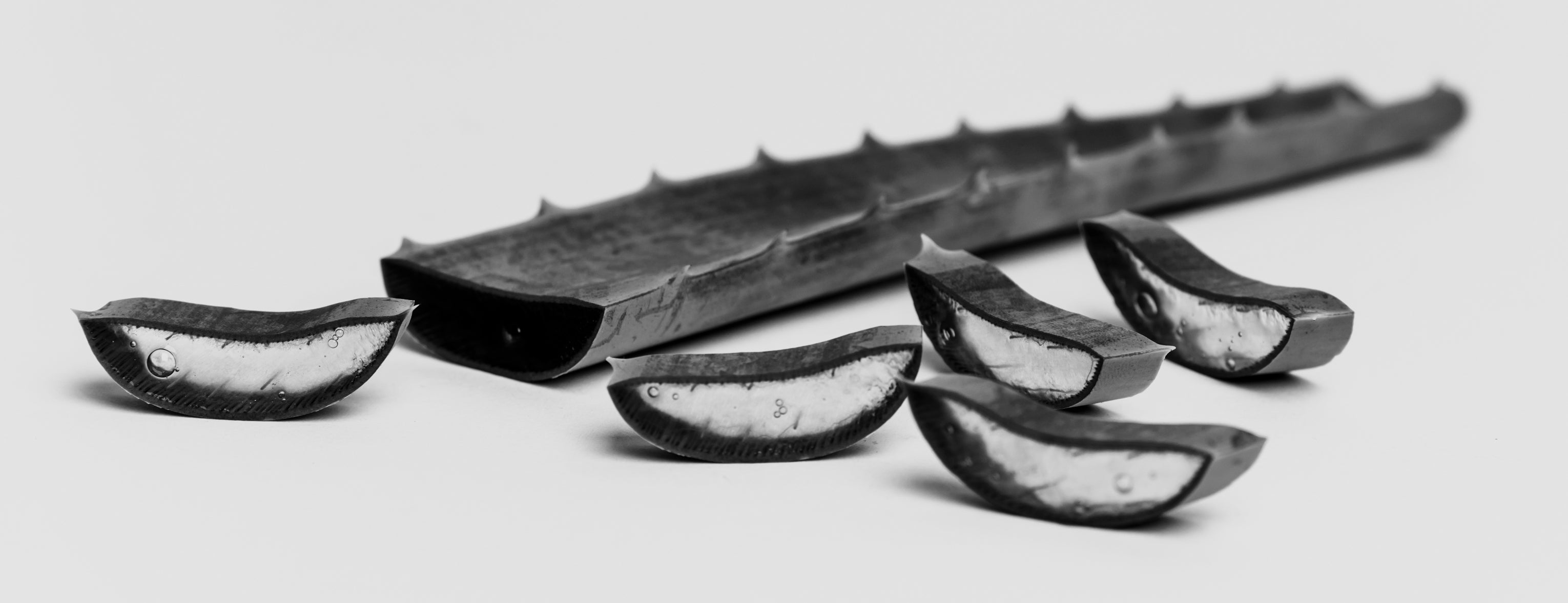 Level Up to an Aloe Vera Face Wash