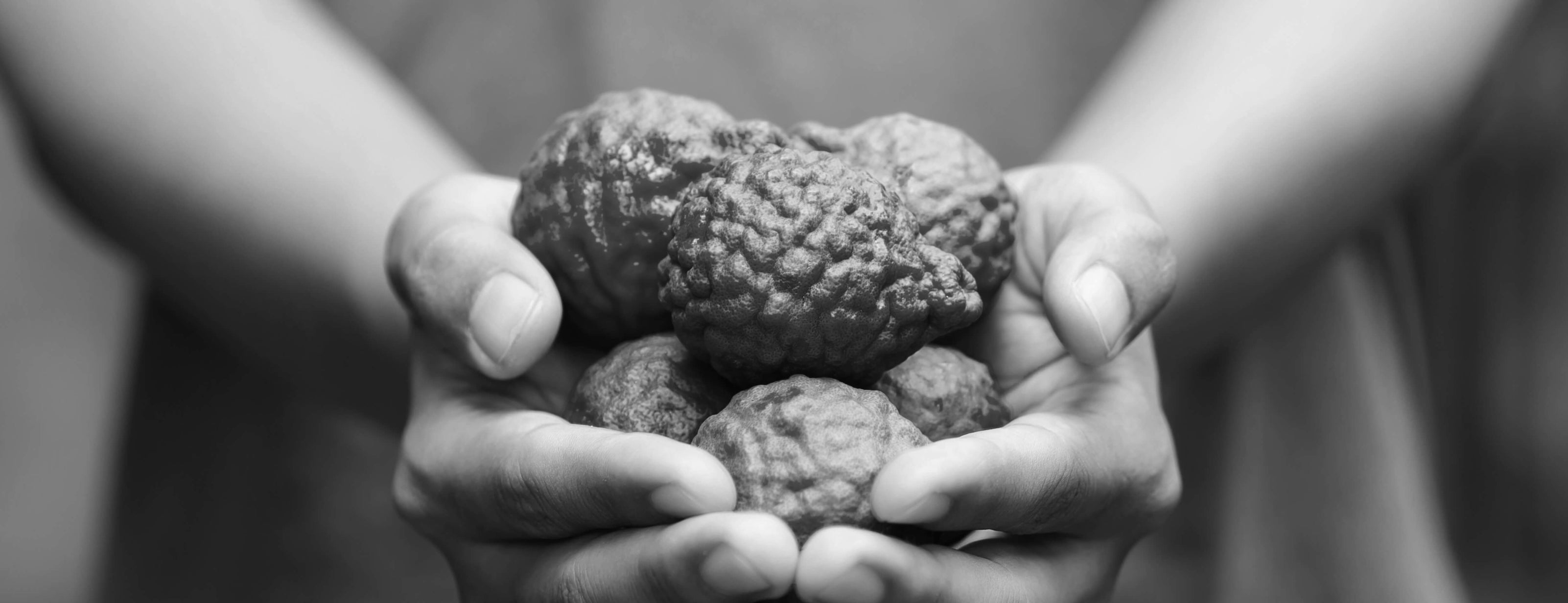 What Is Bergamot, and How Should You Use It?