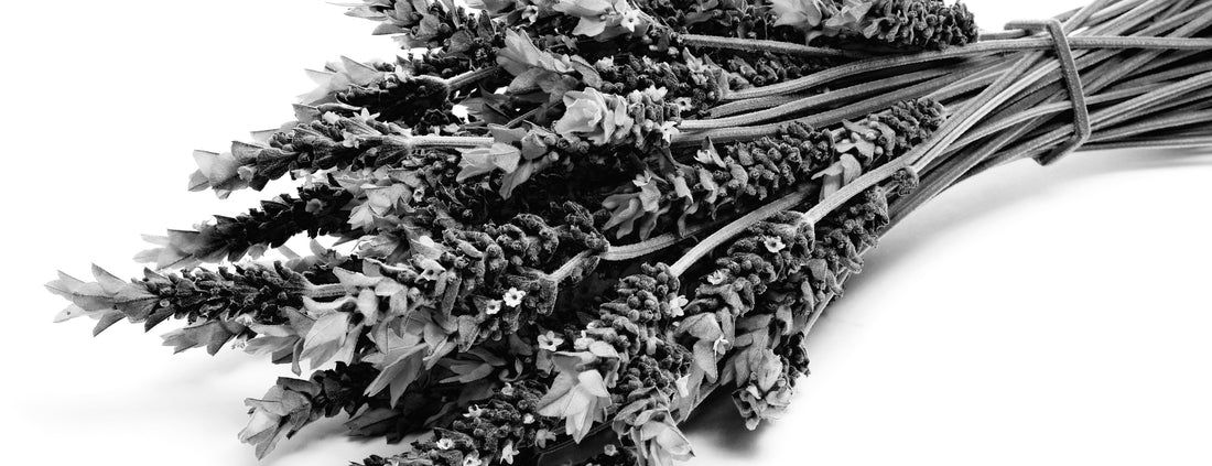 Lavender Oil for Acne