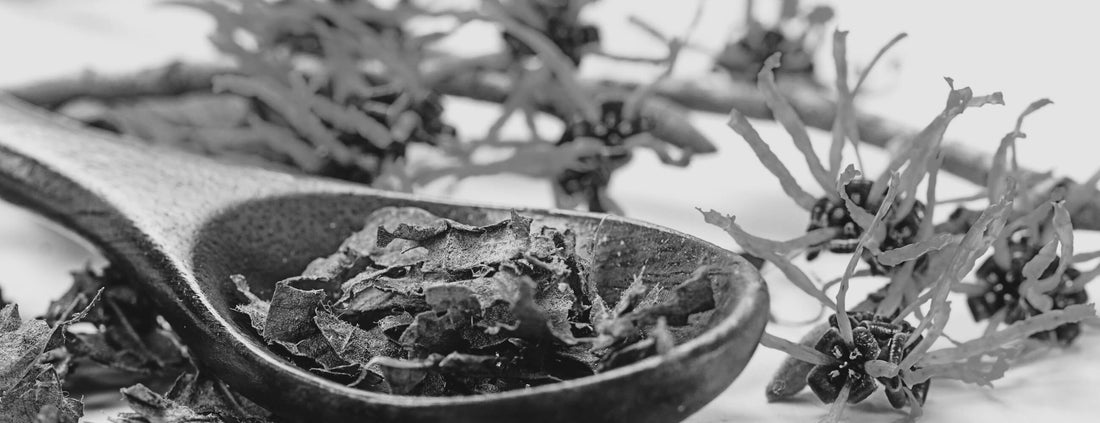 7 Ways to Use Witch Hazel for Face and More