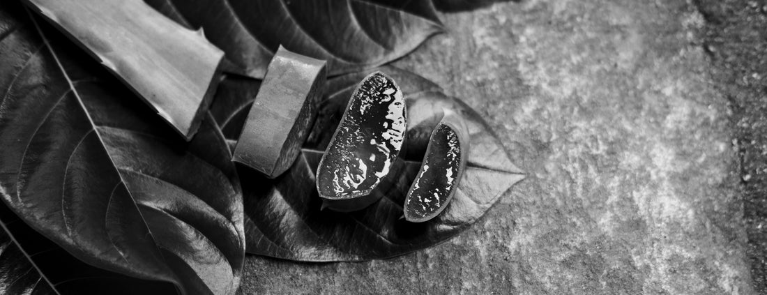 Aloe Vera for Daily Skin Care