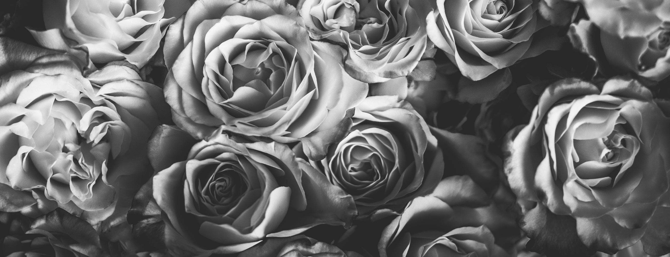 How to Use Rose Water for Acne