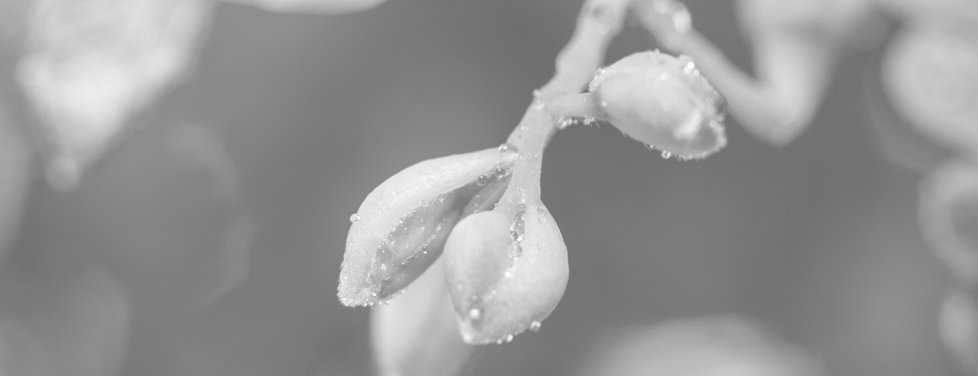 Your Beauty Heroes for the Spring