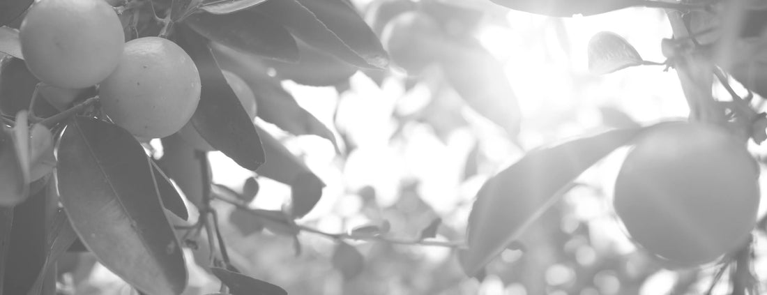 Citrus Essential Oil for Mood