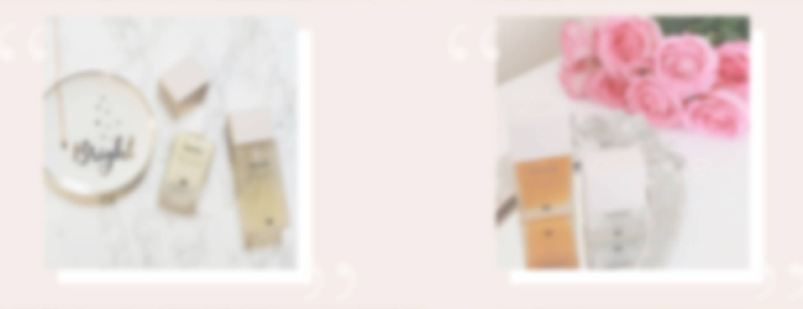 Rave Reviews For Puristry