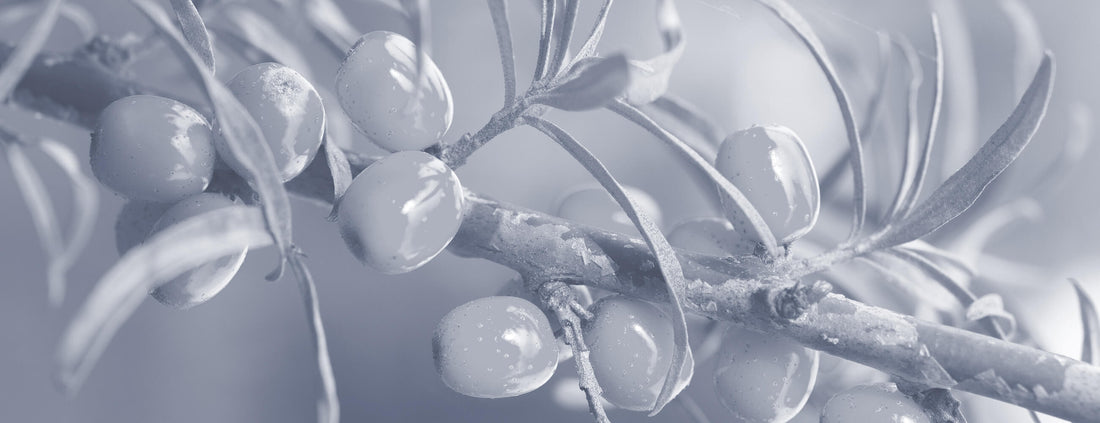 Skin Care Ingredients - Why Less is More