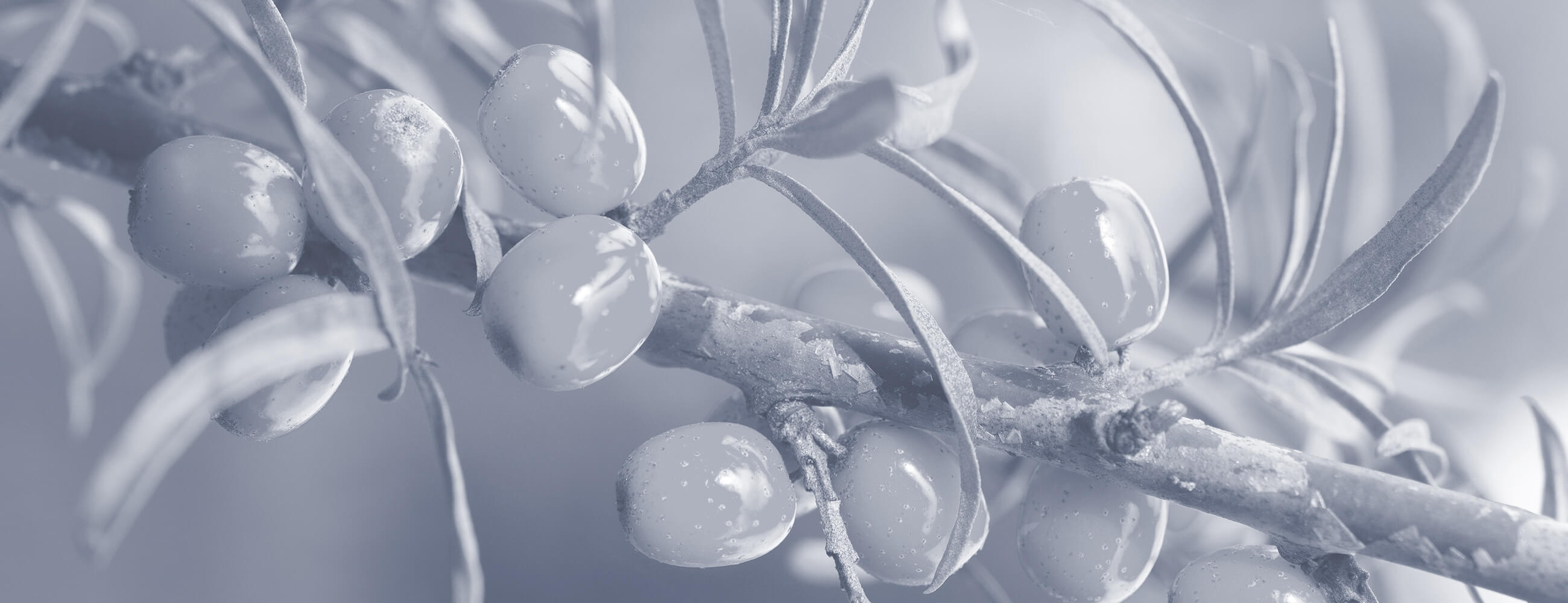 Skin Care Ingredients - Why Less is More