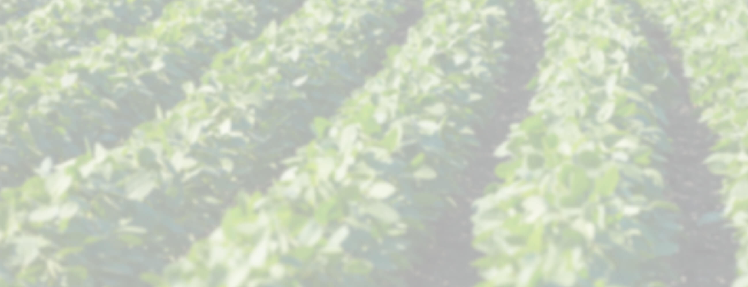 Top 5 Reasons to Switch to Clean Skin Care