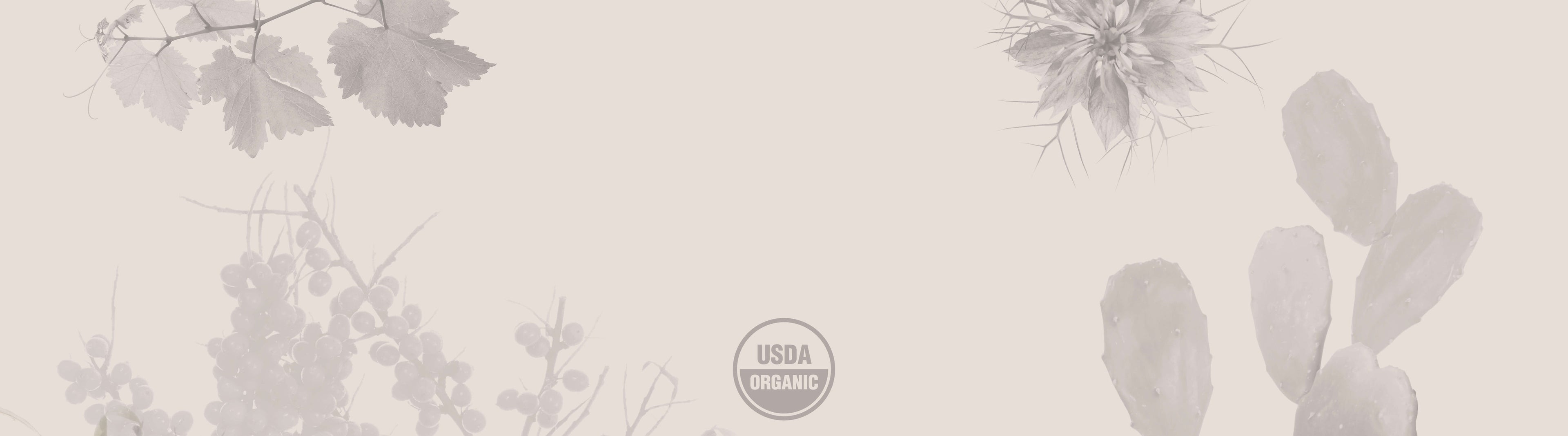 What Does It Mean to Be USDA Organic?