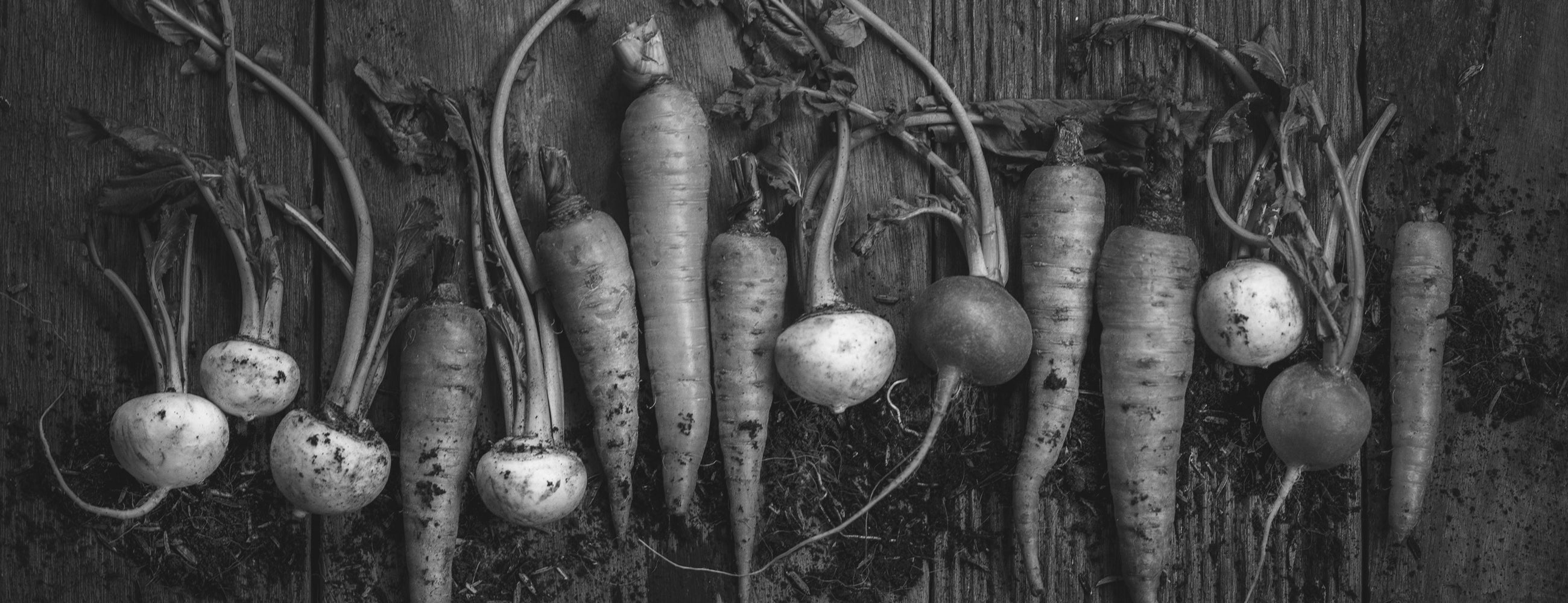 What Does the USDA Regulate?