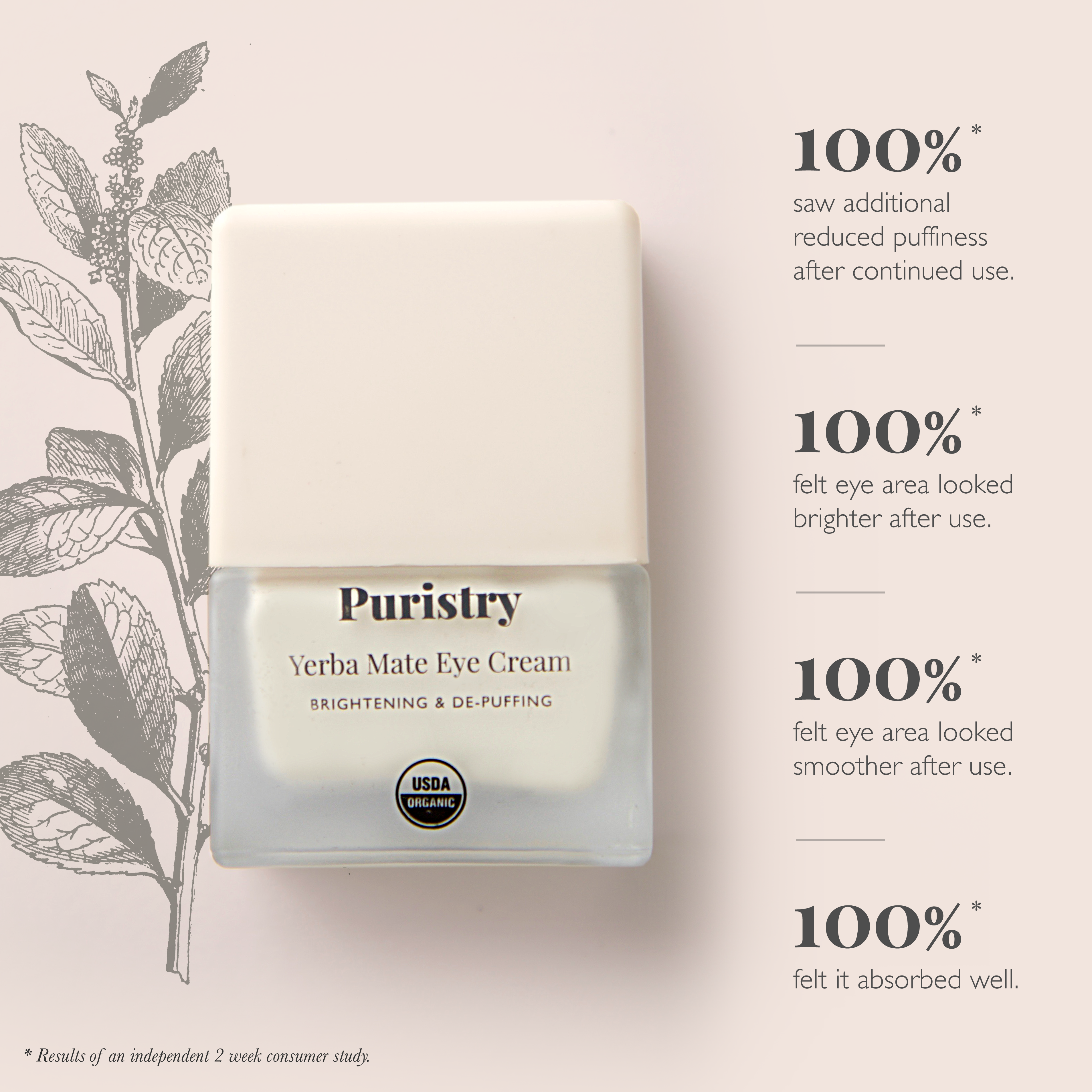 Yerba Mate Eye Cream